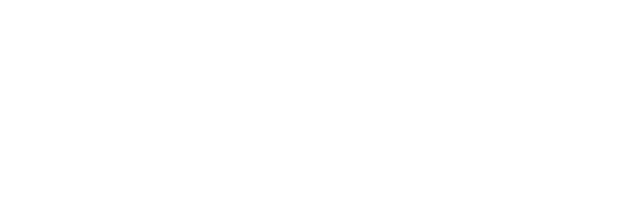 DH Logo